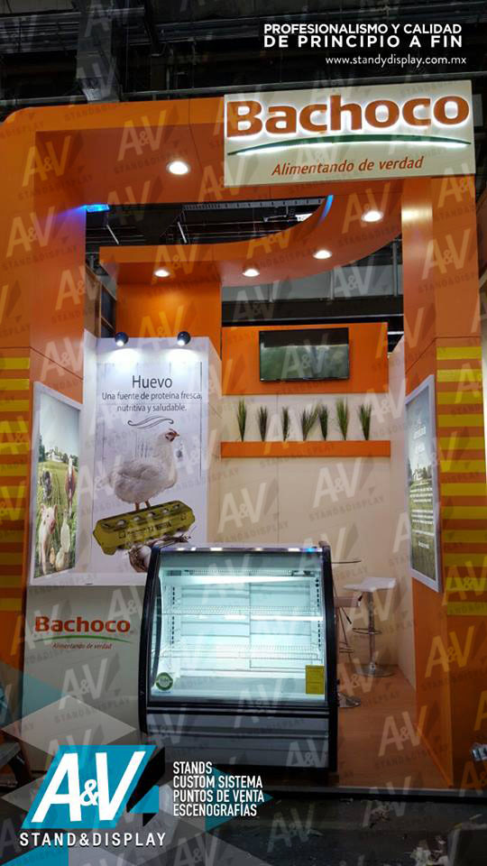 Archivo de Stands Custom de 2017 - imagen 4