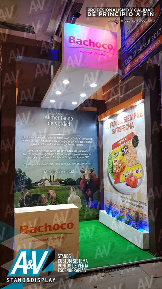 Archivo de Stands Custom de 2017 - imagen 28